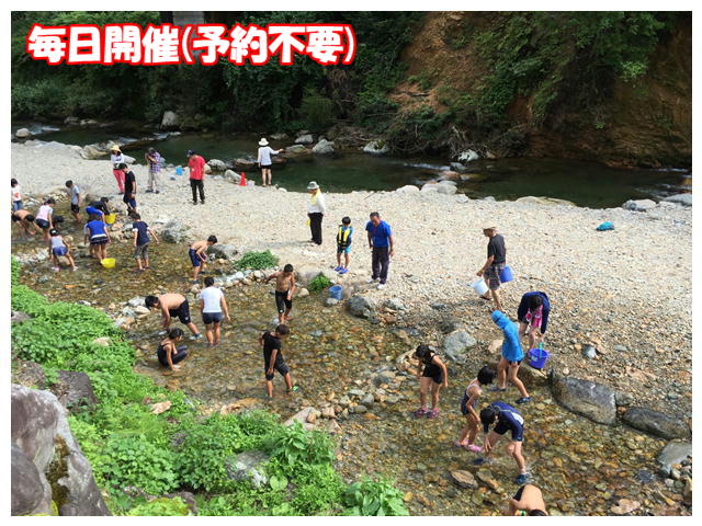 魚のつかみどり　子供向け　岐阜