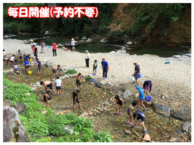 魚のつかみどり　子供向け　岐阜