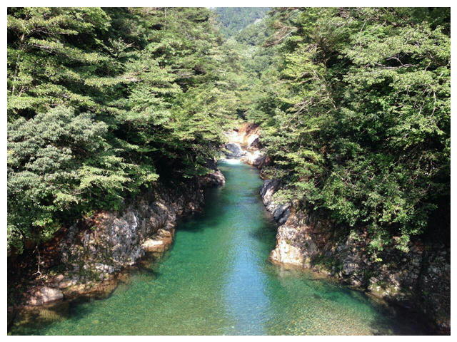 遊泳場　岐阜　板取　とびこみ