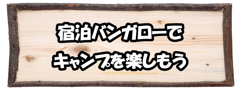 キャンプ場　おすすめ　東海ランキング