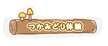 つかみどり 岐阜
