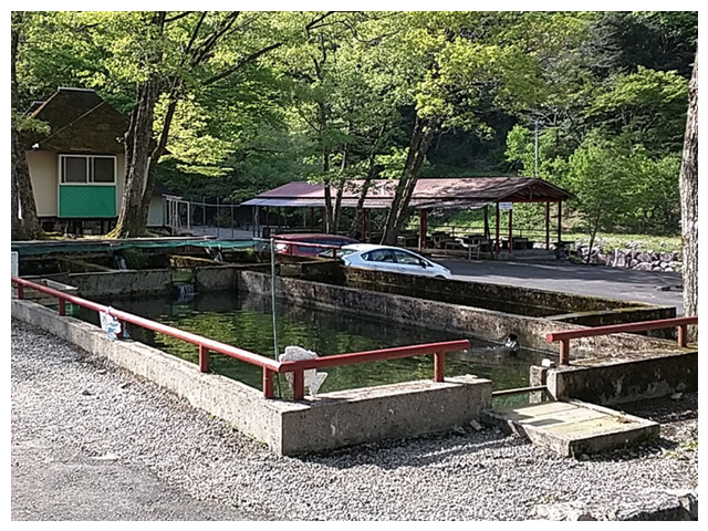 釣り堀