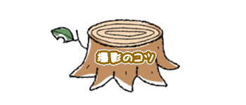 宙に浮くボート撮影のコツ