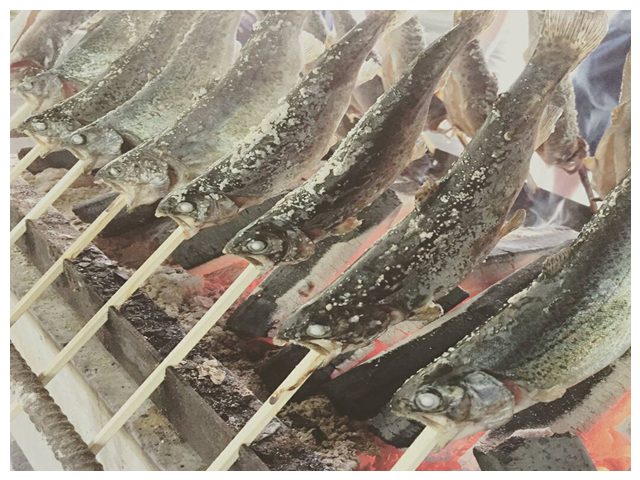 魚のつかみどり