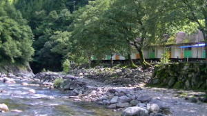 LvoK[ʐ^